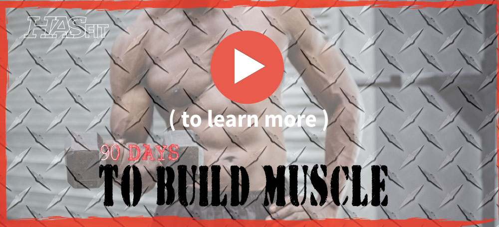 build muscle program