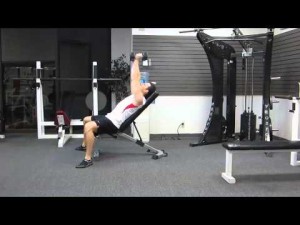Video thumbnail for  video Muscle Building Arm Workout