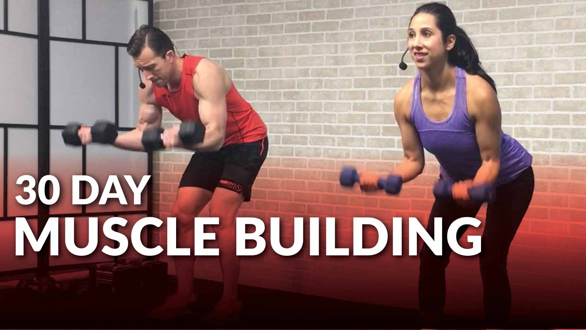 Basic muscle building discount workout