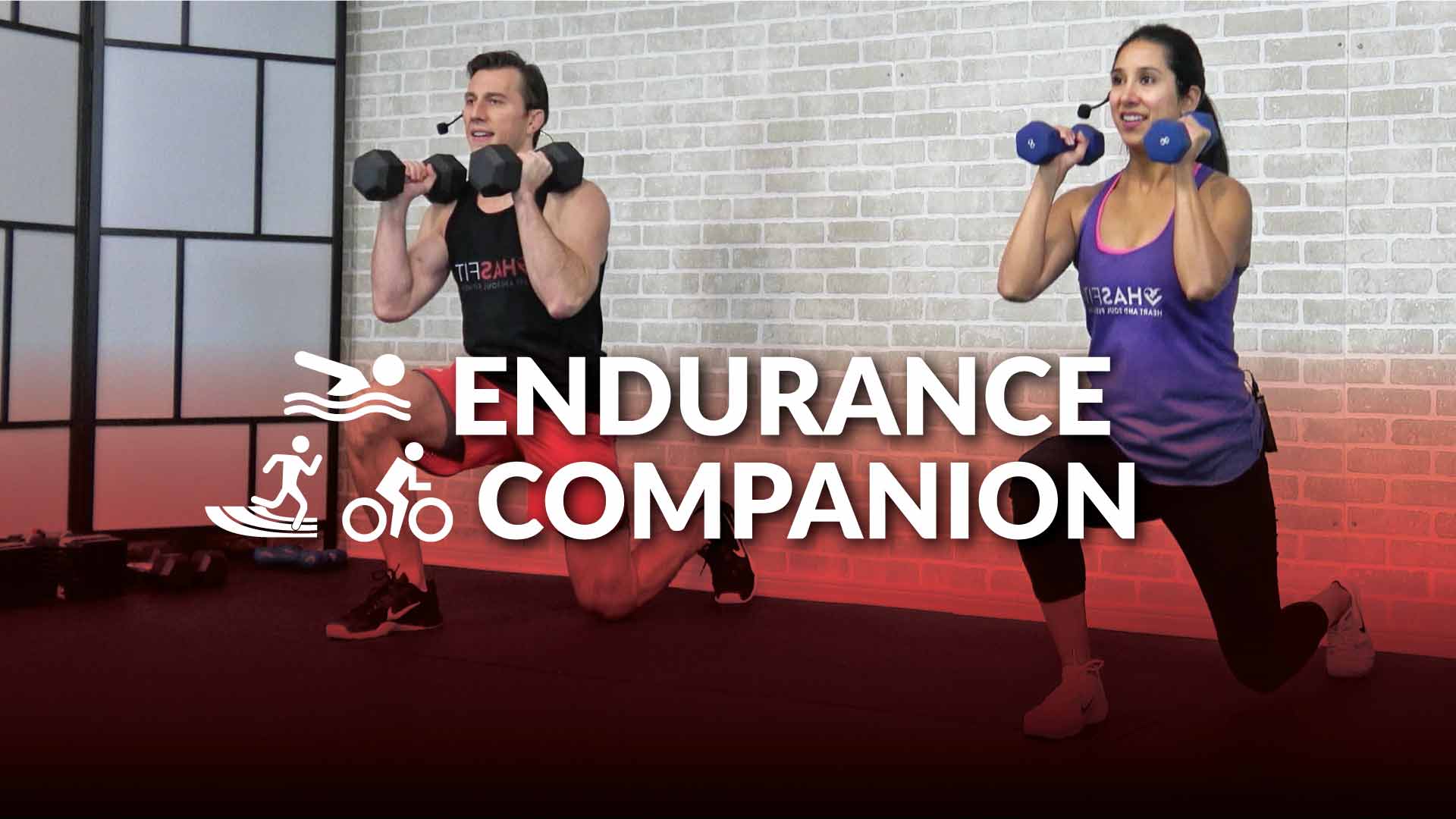 Fremskreden Korrekt udslæt Endurance Companion - HASfit - Free Full Length Workout Videos and Fitness  Programs